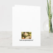 Zich gelieve te sluiten aan bij ons de kaarten van (Achterkant)