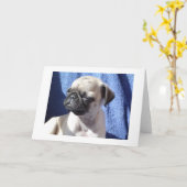 zich zonende pugs kaart (Gele Bloem)