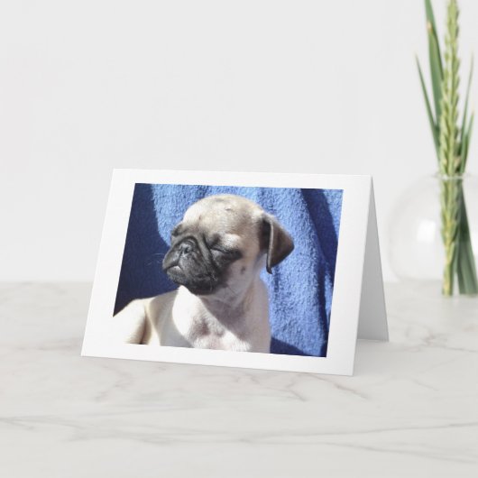zich zonende pugs kaart (Voorkant)