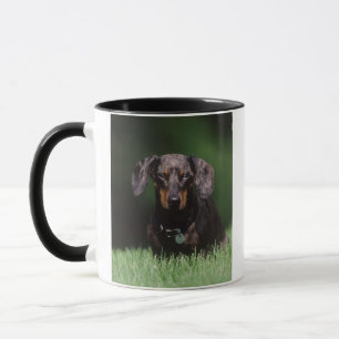 Zicht op gevlekte dachshond mok