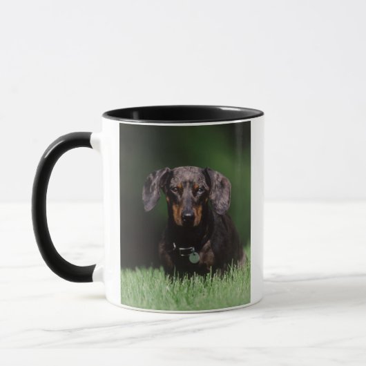 Zicht op gevlekte dachshond mok (Links)