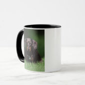 Zicht op gevlekte dachshond mok (Voorkant links)