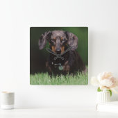 Zicht op gevlekte dachshond vierkante klok (Huis)