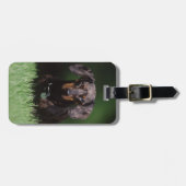Zicht op gevlekte dachshund bagagelabel (Voorkant horizontaal)