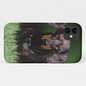 Zicht op gevlekte dashond Case-Mate iPhone case (Achterkant (horizontaal))