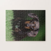 Zicht op gevlekte teckel legpuzzel (Horizontaal)
