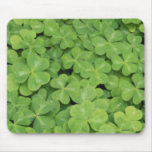 Zicht op Oxalis Oregana houtklaverblad Muismat