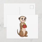 Zichtbare meerkat met appel briefkaart (Voorkant / Achterkant)