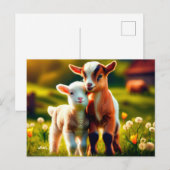 Zicklein Briefkaart (Voorkant / Achterkant)