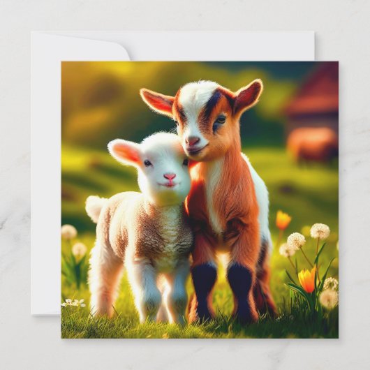 Zicklein Feestdagenkaart (Voorkant)