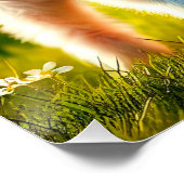 Zicklein Perfect Poster (Hoek)