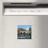 zIE008 DUBLIN, Ierland, Koelkast Magneet (Insitu (Vaatwasser))