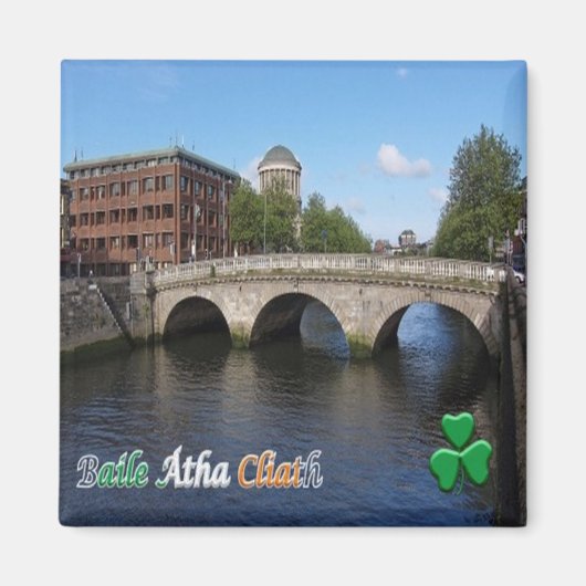 zIE008 DUBLIN, Ierland, Koelkast Magneet (Voorkant)