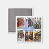 zIE015 DUBLIN Temple Bar, Northern Ireland Fridge Magneet (Voorkant / Achterkant)
