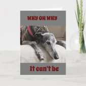 ZIE DAT U ***BEWEGEN** HOUD IN DE KAART (Voorkant)