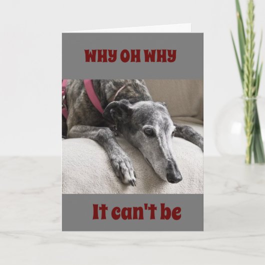 ZIE DAT U ***BEWEGEN** HOUD IN DE KAART (Voorkant)