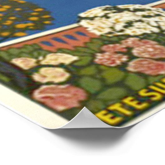 Zie de Franse Riviera Poster (Hoek)