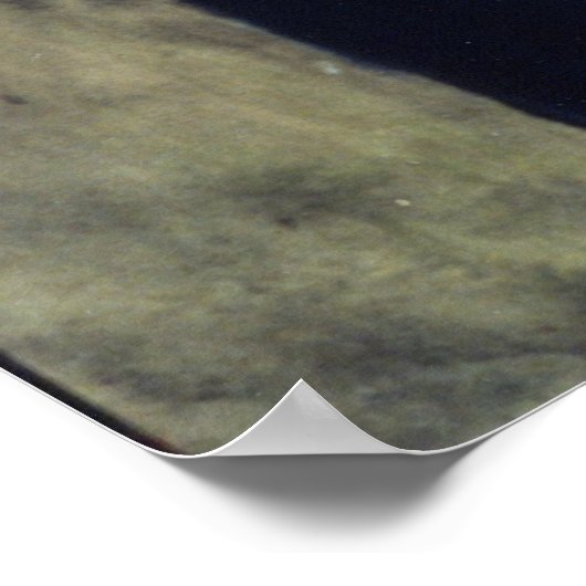 "ZIE GEEN EVIL" POSTER (Hoek)