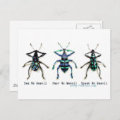 Zie Geen Wekwaaie! Briefkaart (Voorkant / Achterkant)