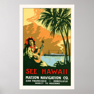 Zie Hawaii Travel Poster