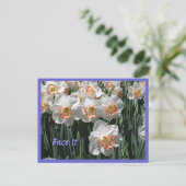Zie het - Daffodils Briefkaart (Staand voorkant)