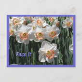 Zie het - Daffodils Briefkaart (Voorkant)