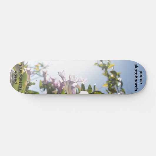Zie het lichte skateboard (Horizontaal)