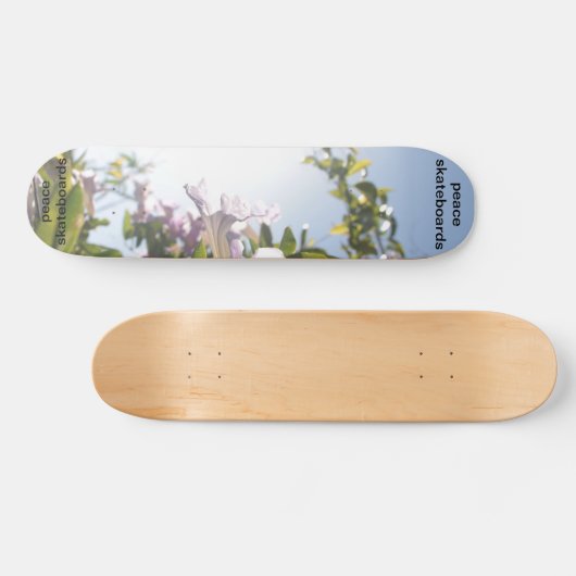 Zie het lichte skateboard (Horizontaal)