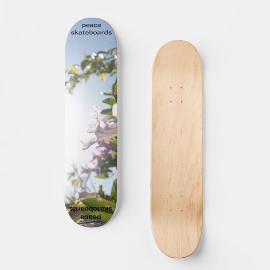 Zie het lichte skateboard (Voorkant)