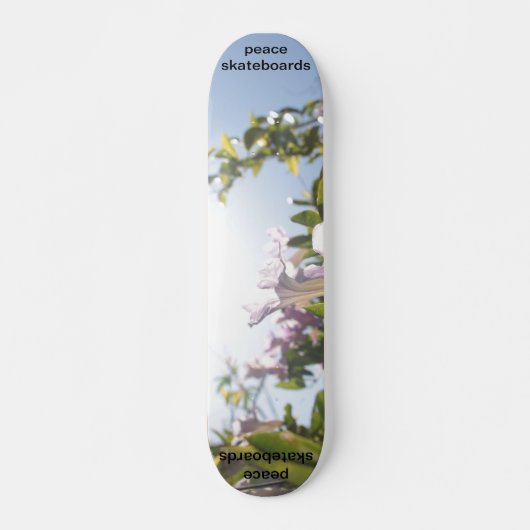Zie het lichte skateboard (Voorkant)