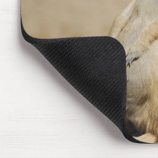 Zie ik er dik uit? muismat (Hoek)