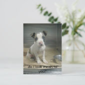 Zie ik er gemeen uit voor jou? briefkaart (Staand voorkant)