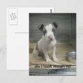 Zie ik er gemeen uit voor jou? briefkaart (Voorkant / Achterkant)