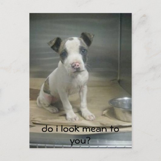 Zie ik er gemeen uit voor jou? briefkaart (Voorkant)