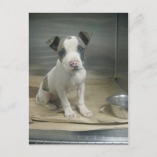 Zie ik er gemeen uit voor jou? briefkaart