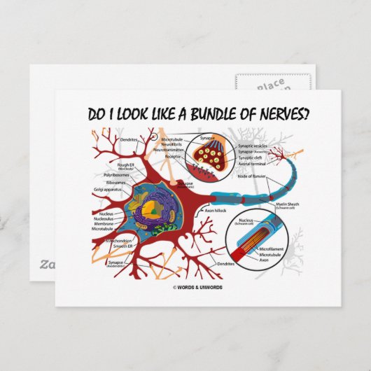 Zie ik eruit als een bundel zenuwen? Neuron Synaps Briefkaart (Voorkant / Achterkant)