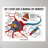 Zie ik eruit als een bundel zenuwen? Neuron Synaps Poster (Voorkant)