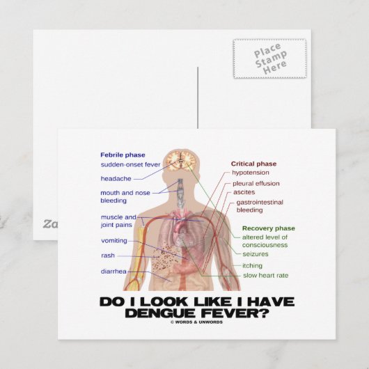 Zie ik eruit alsof ik Dengue Sever heb? (Anatomie) Briefkaart (Voorkant / Achterkant)