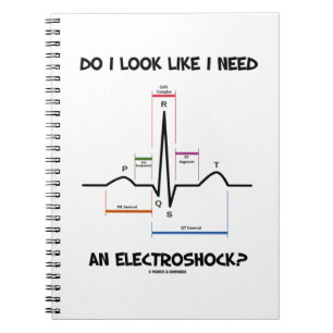 Zie ik eruit alsof ik een elektroshock nodig heb? notitieboek
