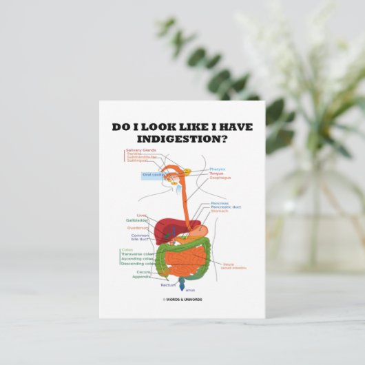 Zie ik eruit alsof ik indigestie heb? (Medisch) Briefkaart (Staand voorkant)