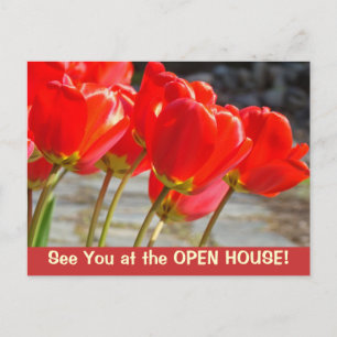 Zie je bij de OPEN HUIS! ansichtkaarten Tulp Bloem Briefkaart