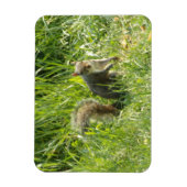 Zie je eekhoorn flexibele magneet (Verticaal)