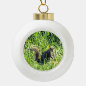 Zie je Eekhoorn Keramische Bal Ornament (Voorkant)