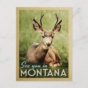 Zie je in Montana - Stag Deer Wildlife Briefkaart
