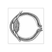 Zie je je rubberen stempel (Afrduk)