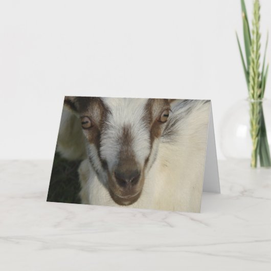 Zie je. kaart (Voorkant)