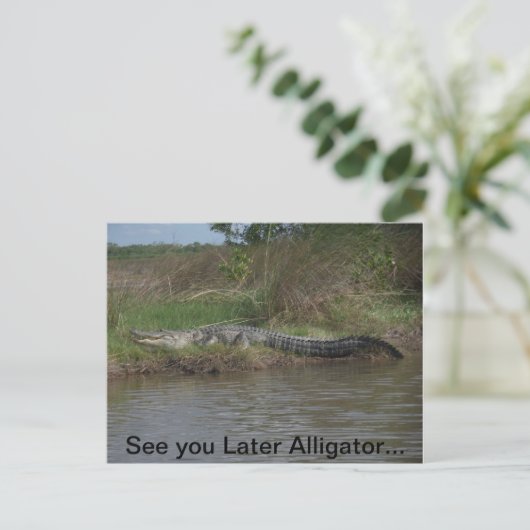 Zie je later alligator briefkaart (Staand voorkant)