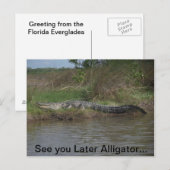 Zie je later alligator briefkaart (Voorkant / Achterkant)