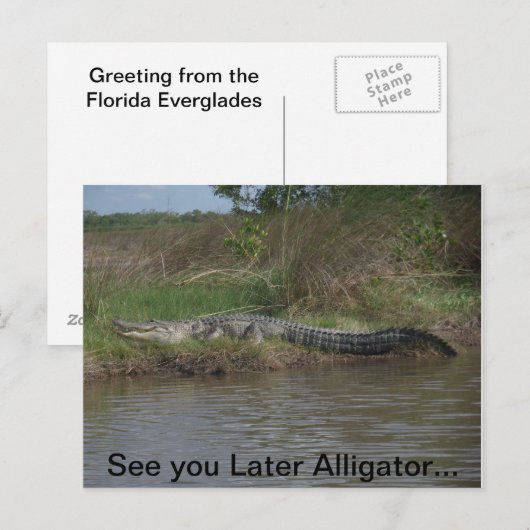 Zie je later alligator briefkaart (Voorkant / Achterkant)