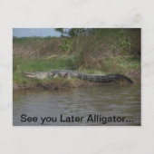 Zie je later alligator briefkaart (Voorkant)
